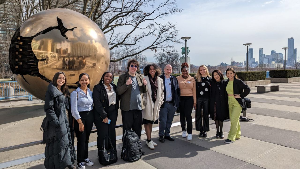 Fellows at United Nations