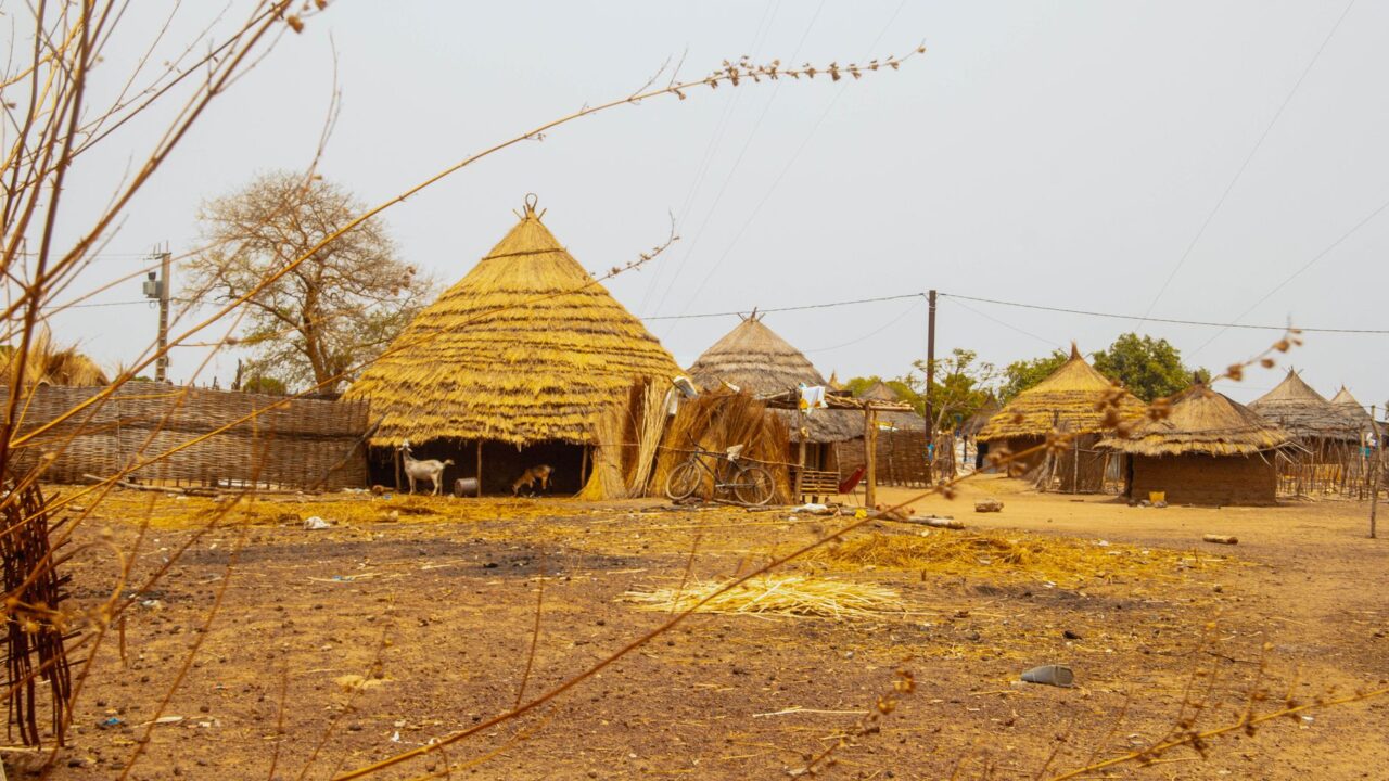 Thatched round huts in a dry village with bare trees.