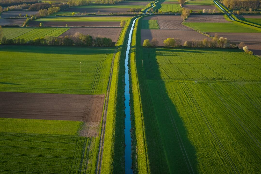 A long, narrow, green field with a small river running through it, surrounded by farmland.
